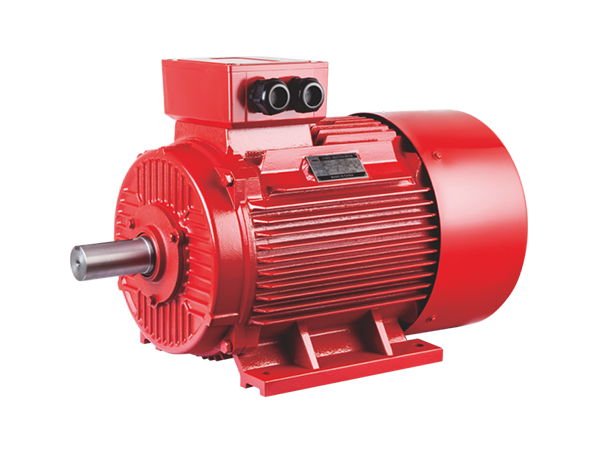 YE3 electric motor TEFC type