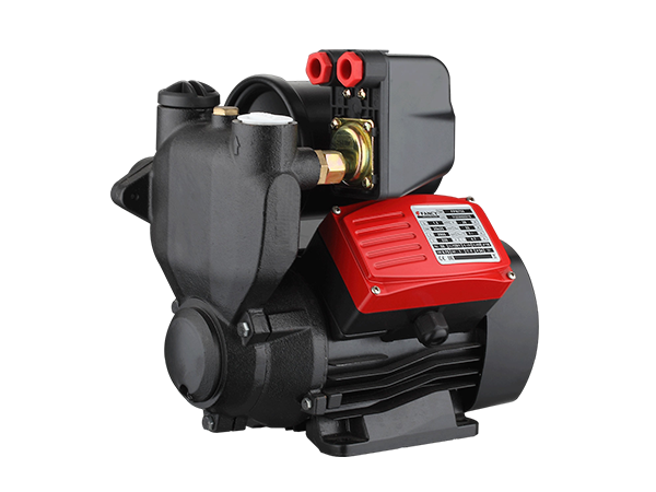 FPW  automatic booster pump