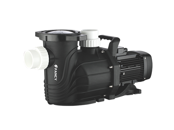 SFE commercial pool pump